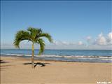 Carolina Beach - CAROLINA